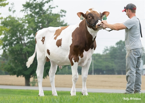 3oh Ranger Red RAVEL P RED | 0200HO12673 | Semex Brasil