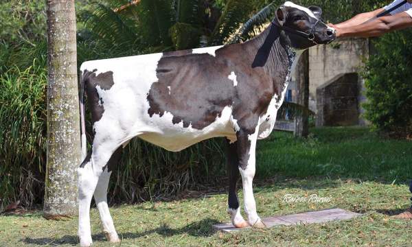 Irmã Paterna